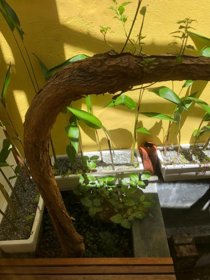 Leranda Homestay Hue Eksteriør bilde