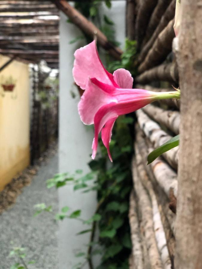 Leranda Homestay Hue Eksteriør bilde